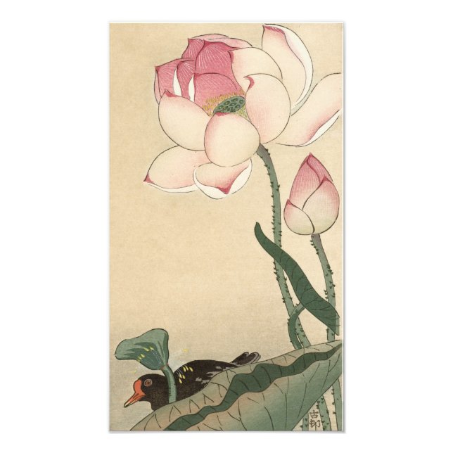 Foto Ohara Koson, Lotus Flower - Arte Japonesa (Frente)