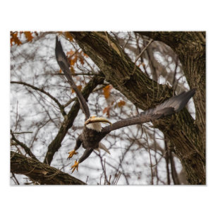 Foto Olhando Para Um Peixe