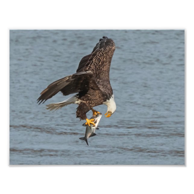 Foto Olho Para Olho (Frente)