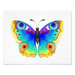 Foto Olho Peacock da Borboleta Arco-Íris