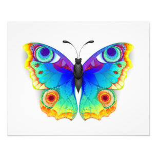 Foto Olho Peacock da Borboleta Arco-Íris