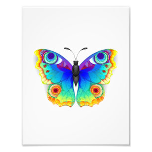 Foto Olho Peacock da Borboleta Arco-Íris