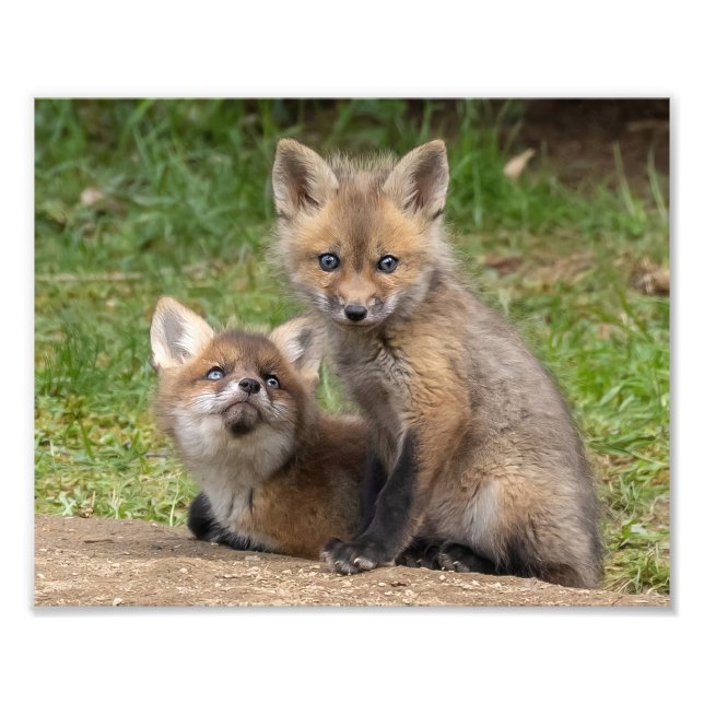 Foto Olhos Adoráveis (Frente)