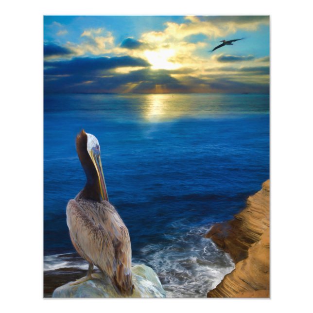 FOTO OLHOS SUNSET DE UM PELICAN (Frente)