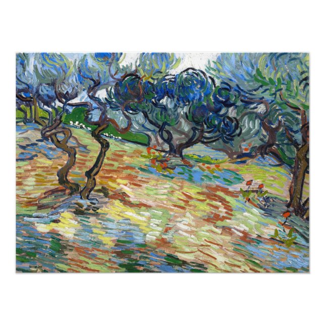 Foto Oliveiras por Vincent van Gogh (Frente)