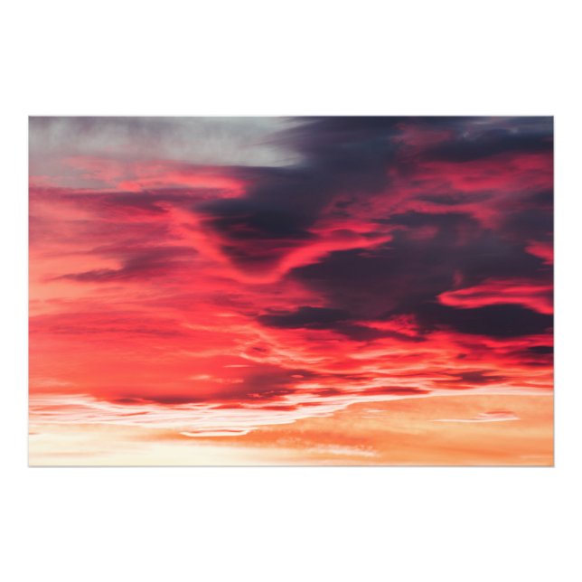 Foto onda felina (Frente)