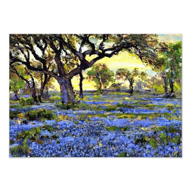 Foto Onderdonk - Árvore de Carvalho Vivo e Bluebonnets (Frente)