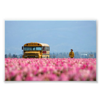 Foto Ônibus Escolar, Ônibus Mágico.