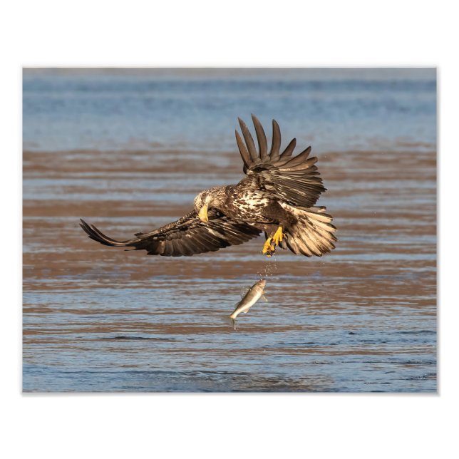 Foto Oportunidade perdida (Frente)