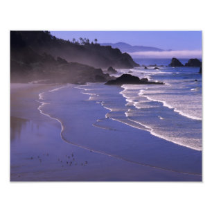 Foto OR, Costa do Oregon, Ecola SP, Indian Beach com