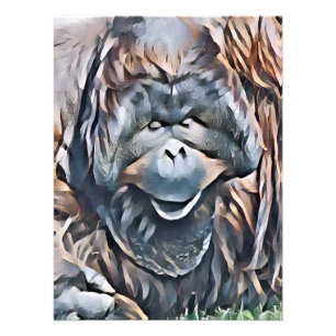 FOTO ORANGUTAN