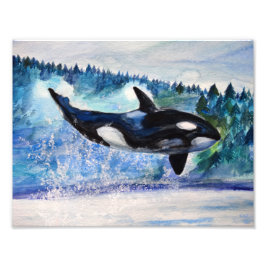 Foto Orca willife watercolor impressão