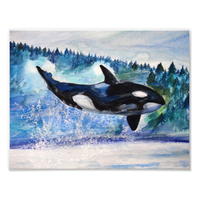 Foto Orca willife watercolor impressão (Frente)