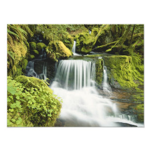 Foto Oregon, Cachoeira no parque nacional Willamette
