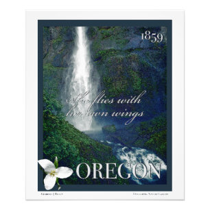 Foto Oregon Waterfall Poster