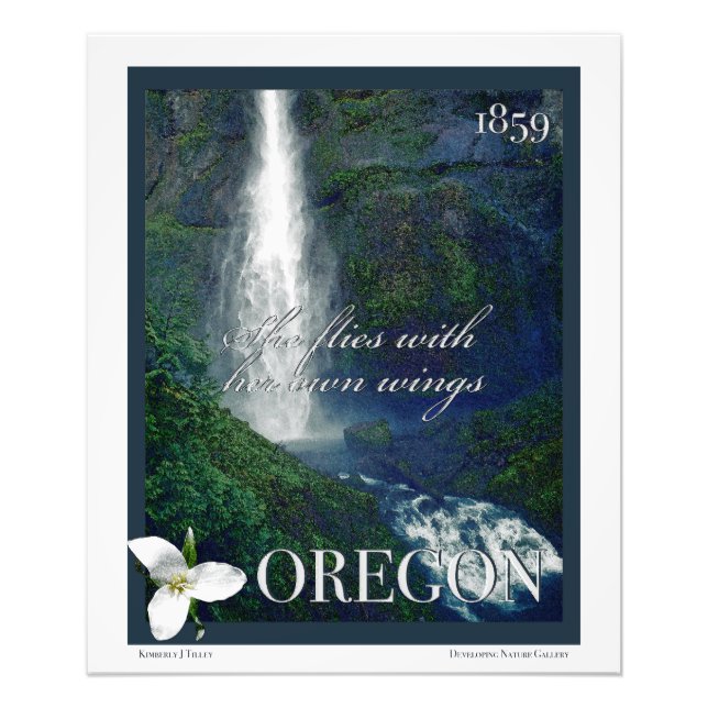 Foto Oregon Waterfall Poster (Frente)