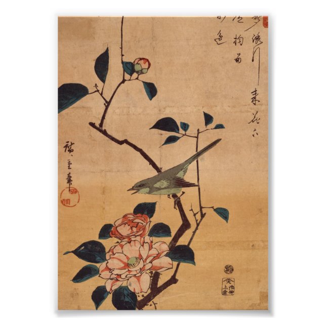 Foto Oriental Camellia e Warbler (Frente)