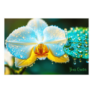 Foto Orquídea Branca Elegante com Gotículas de Água Bot
