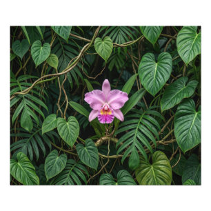 Foto Orquídea Cattleya Rosa em Folhas da Selva Tropical