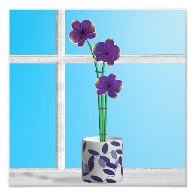 Foto Orquídeas no impressão do Windows 12x12 (Frente)