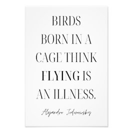 Foto Os pássaros Nasceres em uma gaiola pensam que voar