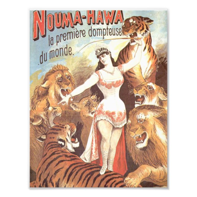 Foto Os sussurros de Nouma Hawa para os tigres (Frente)