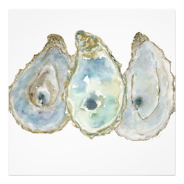 Foto Ostras de compartimento móvel-3