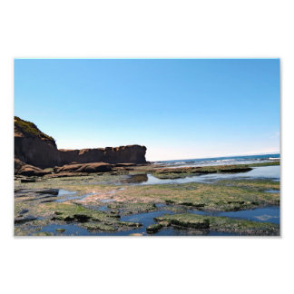 Foto Otter Crest Beach, Oregon