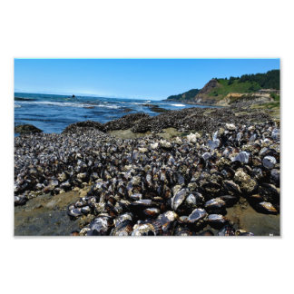 Foto Otter Crest Beach, Oregon