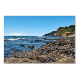 Foto Otter Crest Beach, Oregon