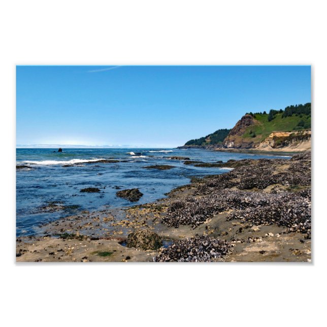 Foto Otter Crest Beach, Oregon (Frente)