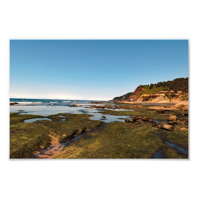 Foto Otter Crest Beach, Oregon (Frente)