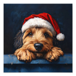 Foto Otterhound Em Um Chapéu De Papai Noel