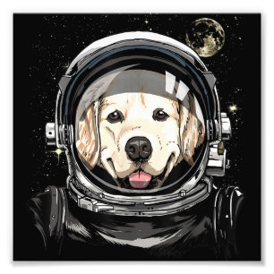 Foto Ouro do Astronauta do Espaço Exterior Pet D