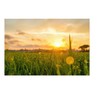 Foto Ouro Sunrise Sobre Campo De Desgaste Natureza