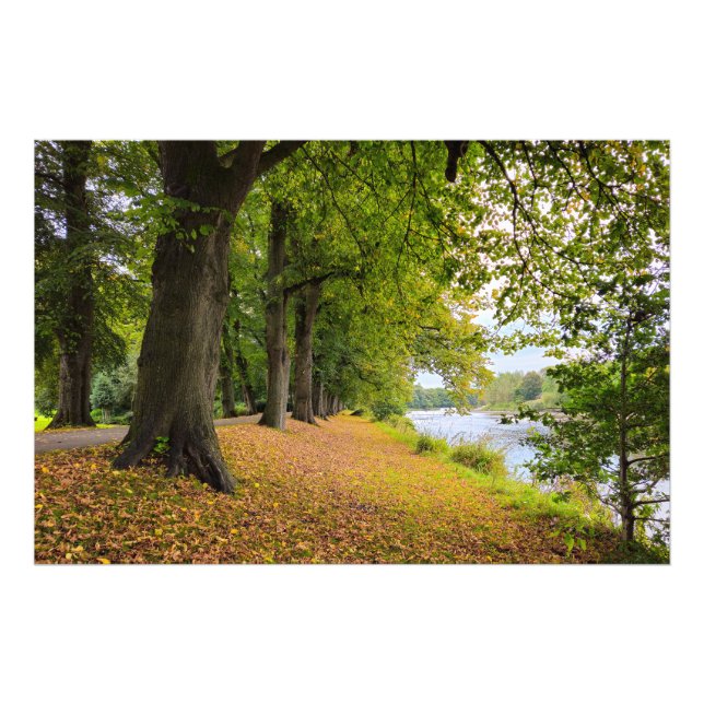 Foto Outono (Frente)