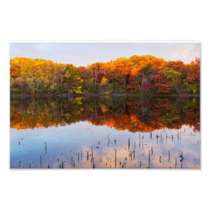 Foto outono do parque martaler e reflexões das lagoas