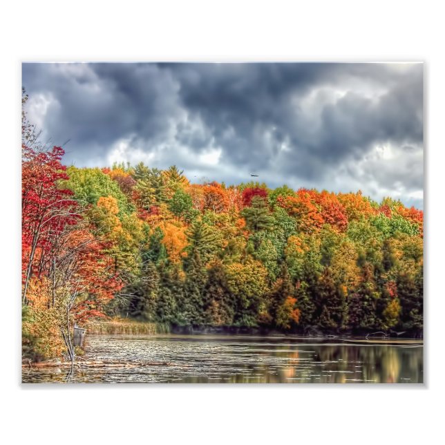 Foto Outono nas Northwoods (Frente)