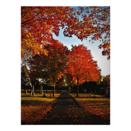 Foto "Outubro Shine"