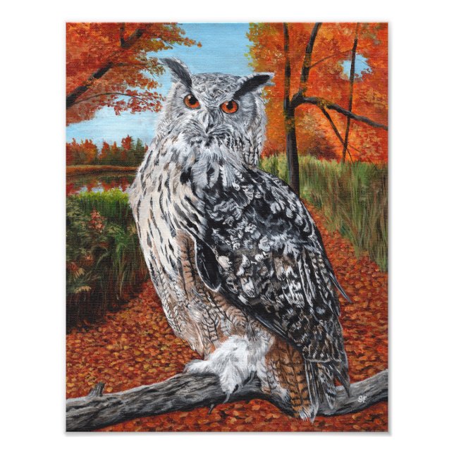 Foto Owl in Autumn Forest Fine Art  (Frente)