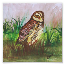 Foto Owl in nature watercolor art