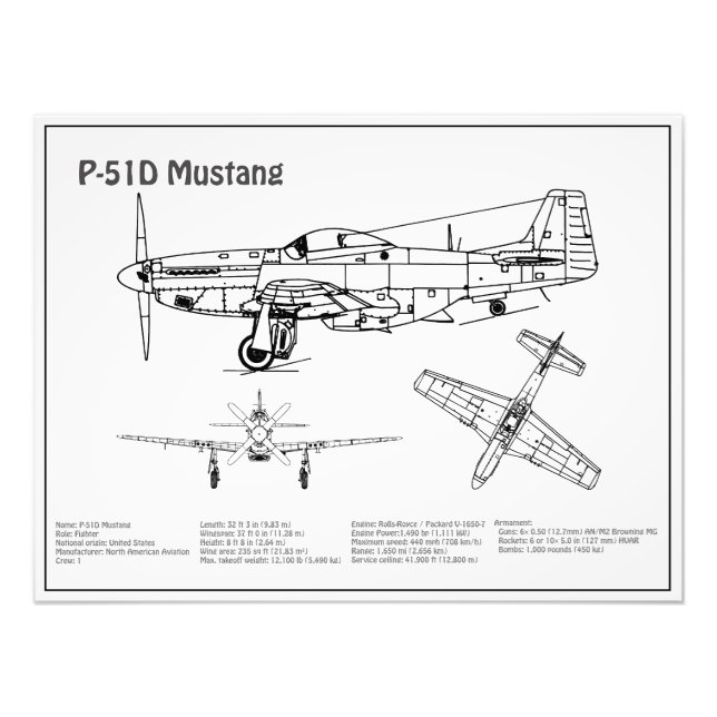 Foto P-51D Mustang - Airplane Blueprint BD (Frente)