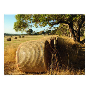 Foto Pacotes de feno na terra de fazenda