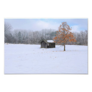 Foto Paddock coberto por neve