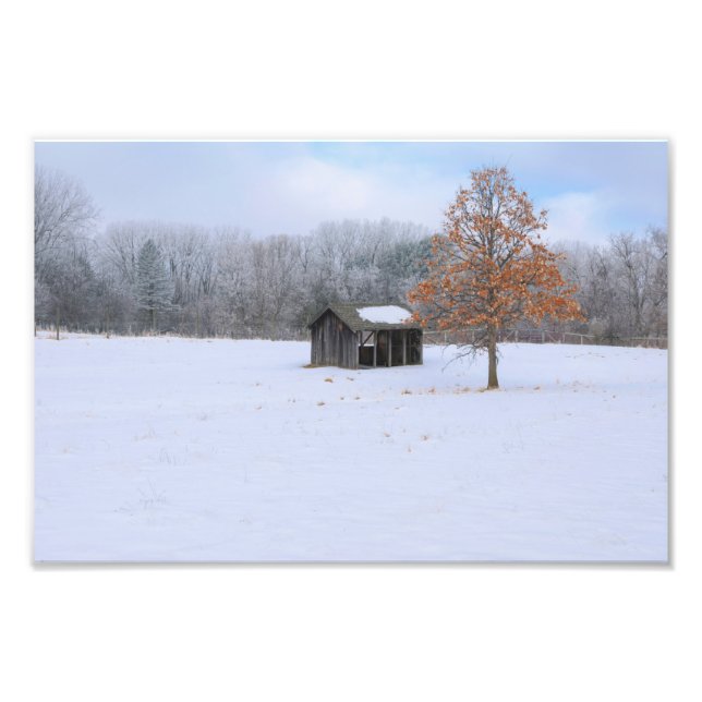 Foto Paddock coberto por neve (Frente)