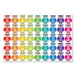 Foto Padrão Bonito De Coruja Arco-Íris.