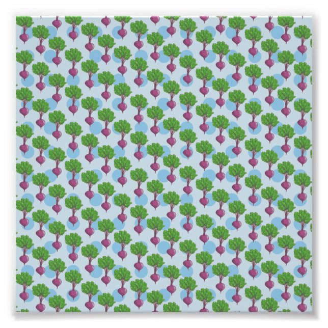 Foto Padrão das plantas de beterraba (Frente)