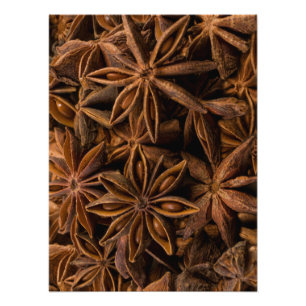 Foto Padrão de Anise Stars
