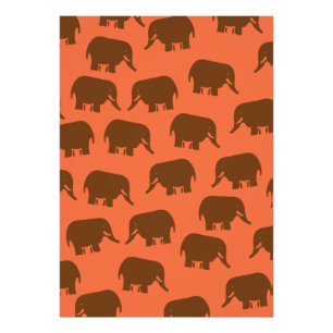 Foto Padrão de Elefante Indiano