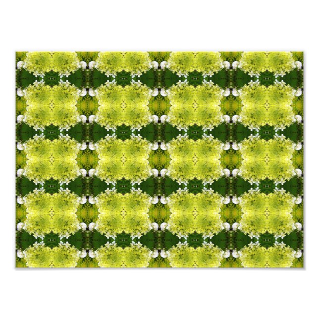 Foto Padrão de Flores de Hortênsia Abstratas em Verde C (Frente)